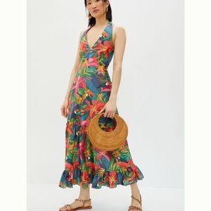 Anthropologie farm rio Brighton maxi dress